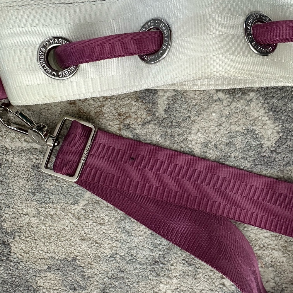 Harvey’s On Ice Park Hopper Bag - Picture 4 of 5